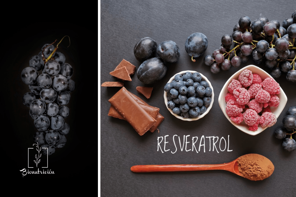 Alimentos ricos en resveratrol-Bionutricion Ortomolecular