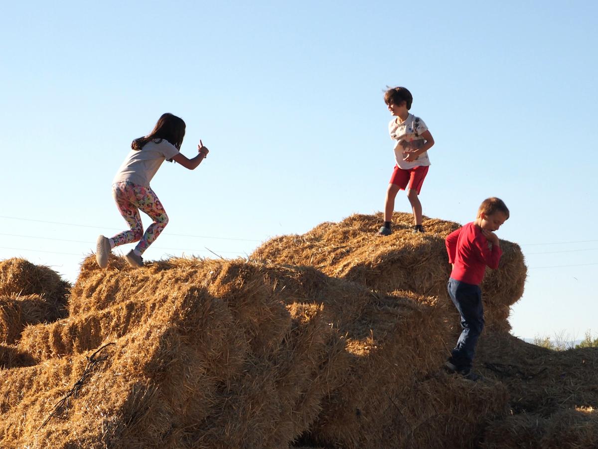 Niños jugando a perseguirse encima de balas de paja