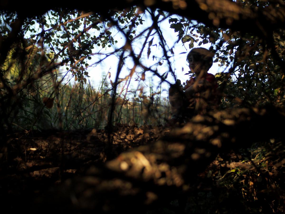 Niño observado detras de las ramas