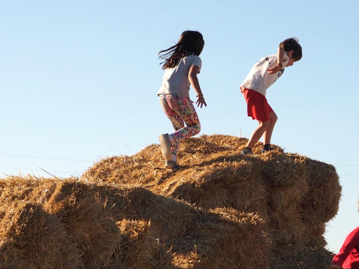 Niños jugando a perseguirse encima de balas de paja