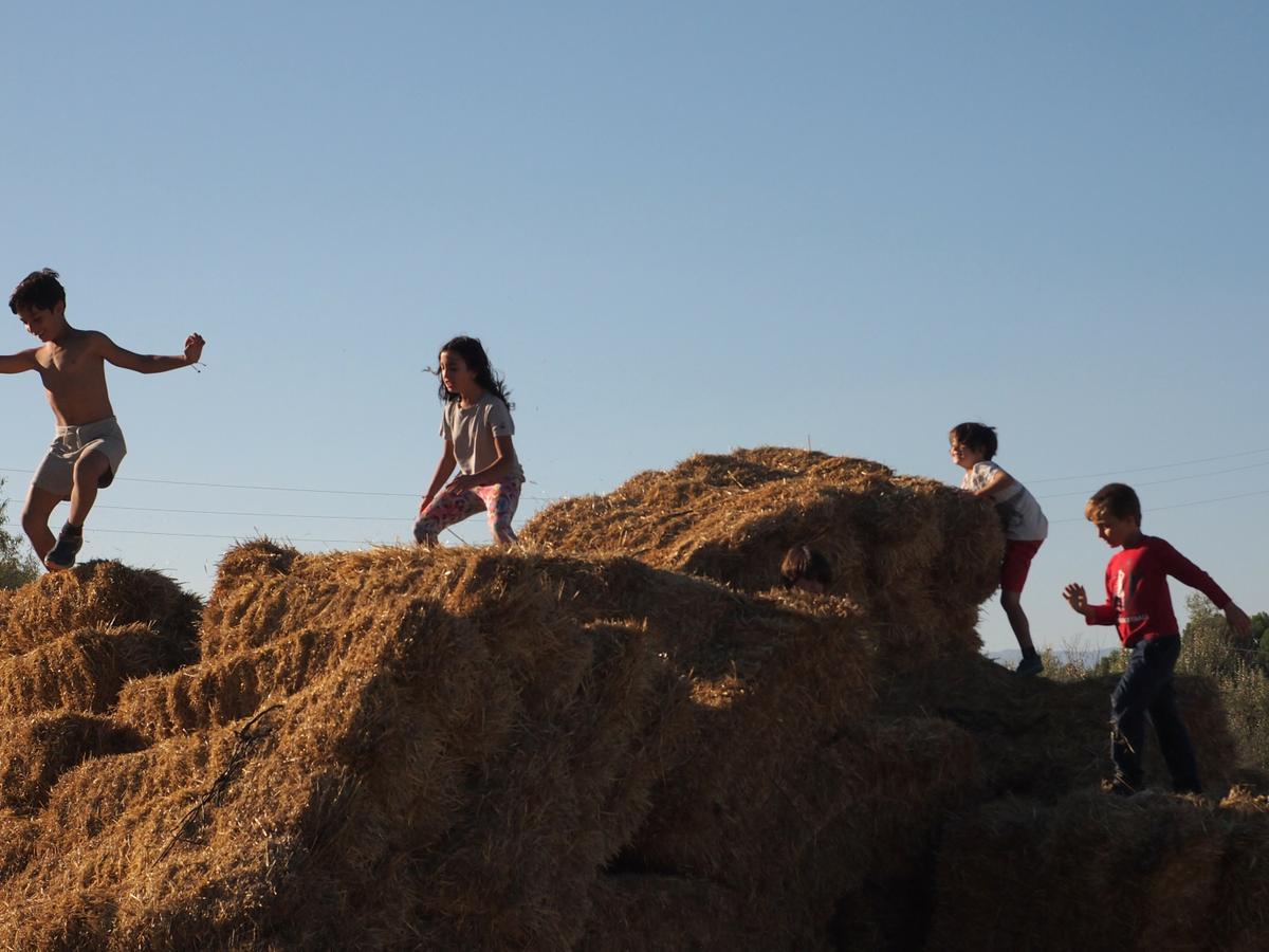 Niños jugando a perseguirse encima de balas de paja