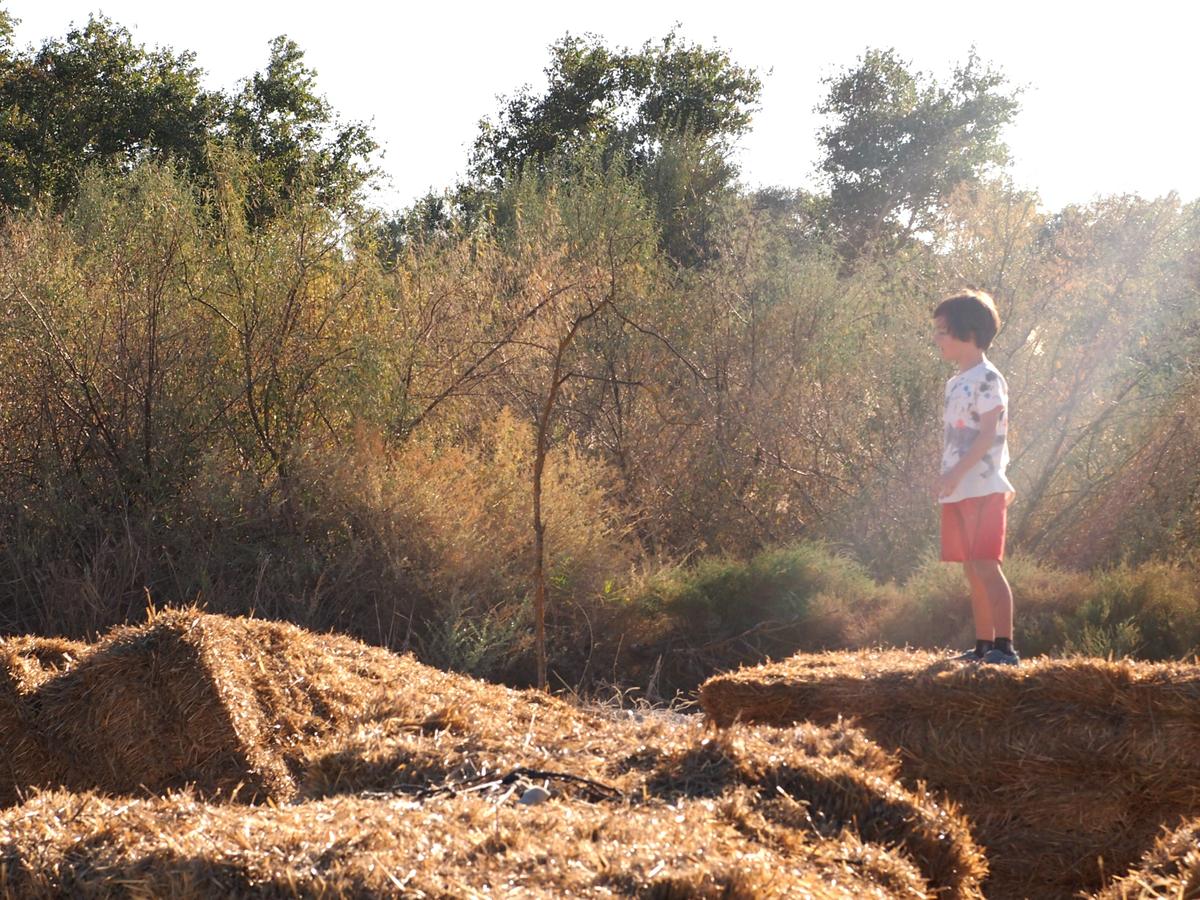 Niño observando encima d ebalas de paja