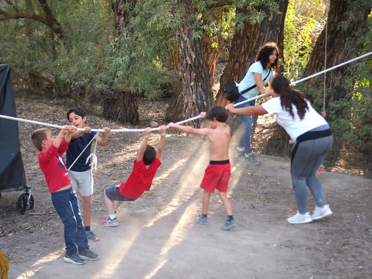 Niños jugando con una cuerda en un bosquecillo