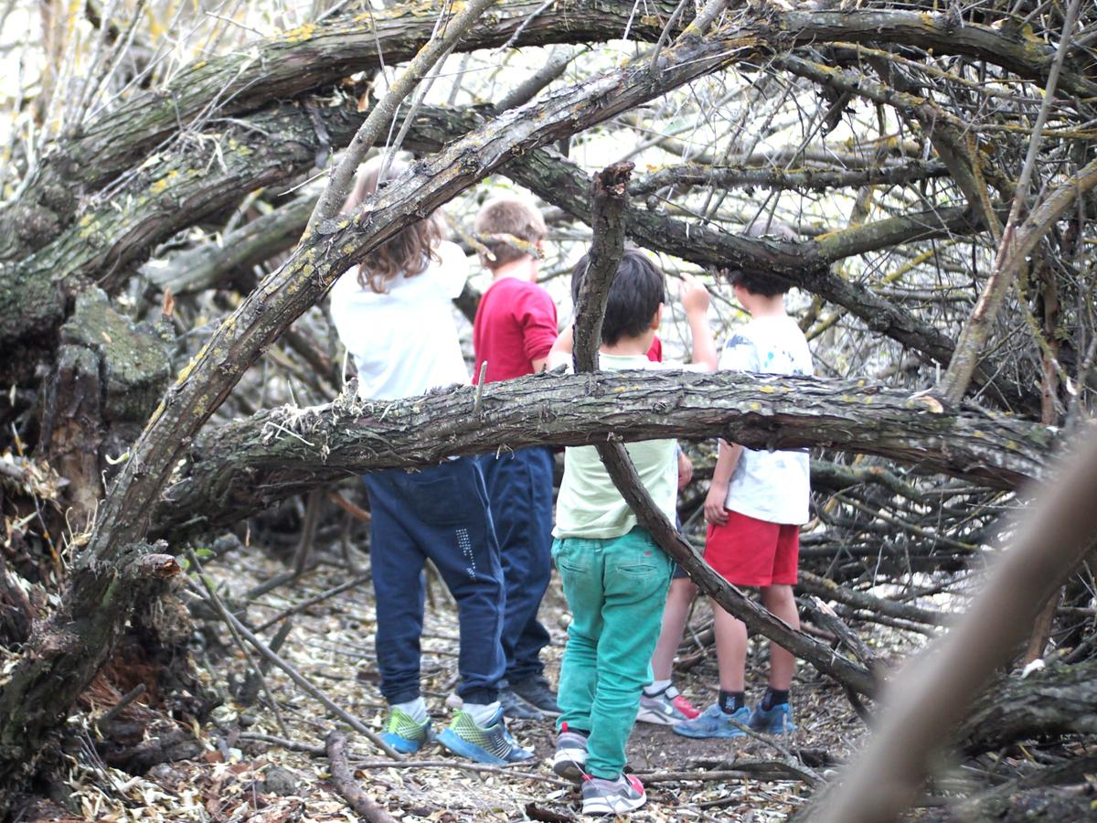 Niños jugando entre ramas de arboles bajos, es su caseta