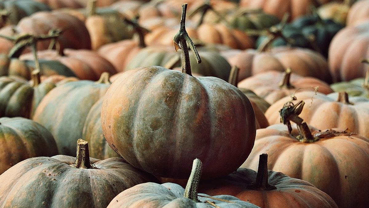 qué cocinar con calabaza