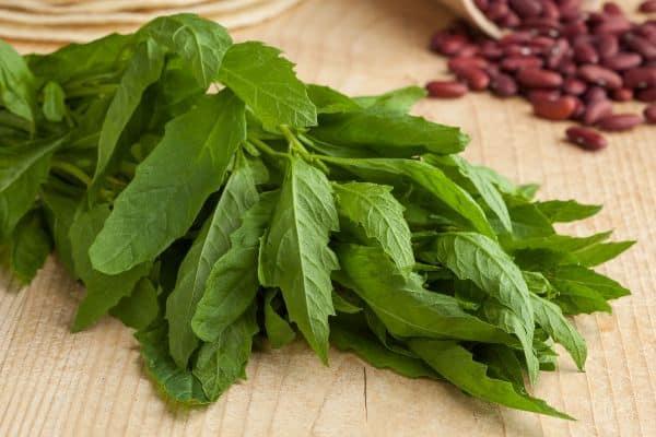 para que sirve el epazote