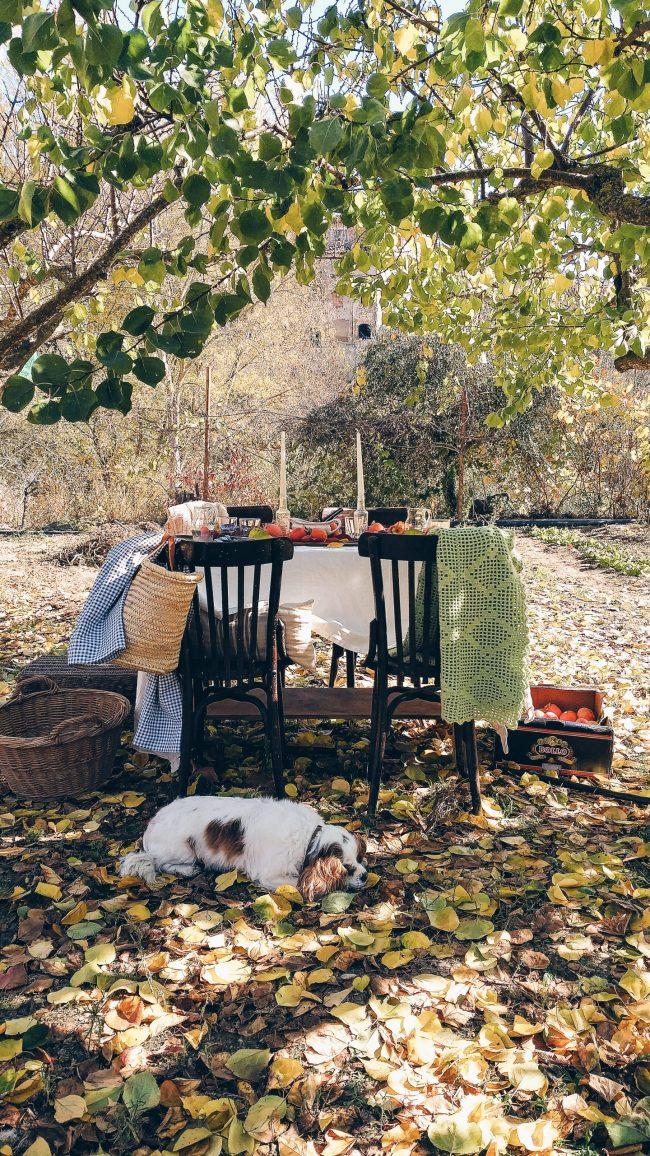 Una mesa otoñal en el huerto