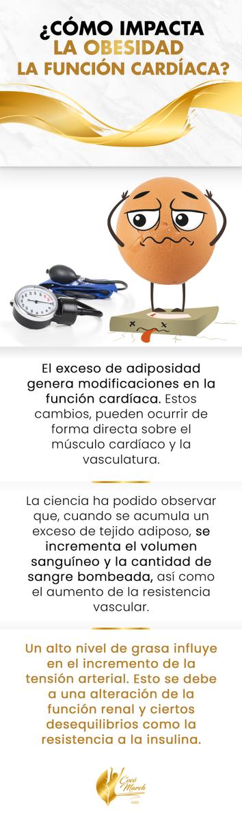 como-impacta-la-obesidad-la-funcion-cardiaca