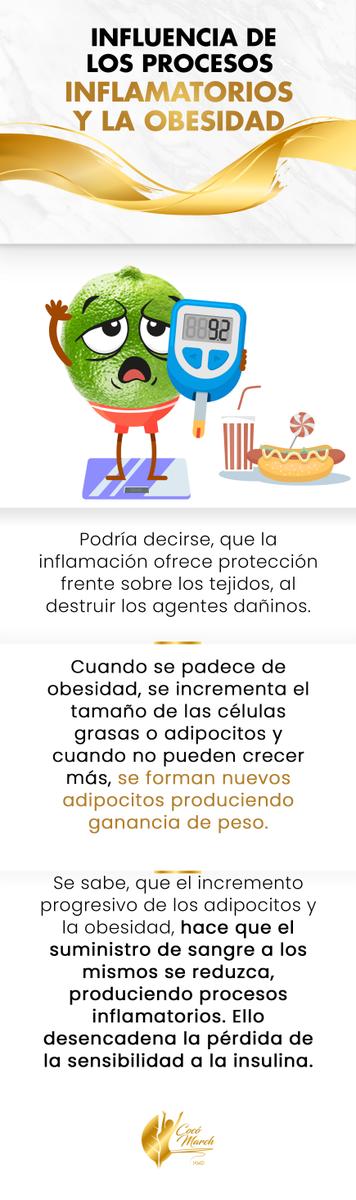 influencia-de-los-procesos-inflamatorios-y-obesidad