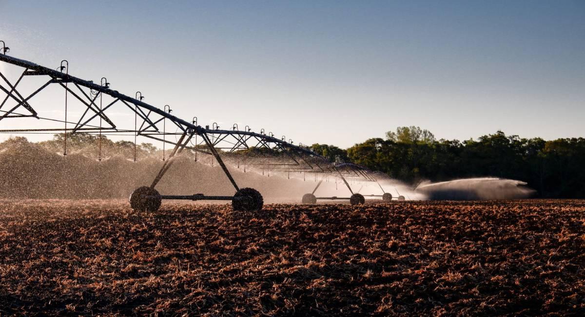 Tipos y sistemas de riego