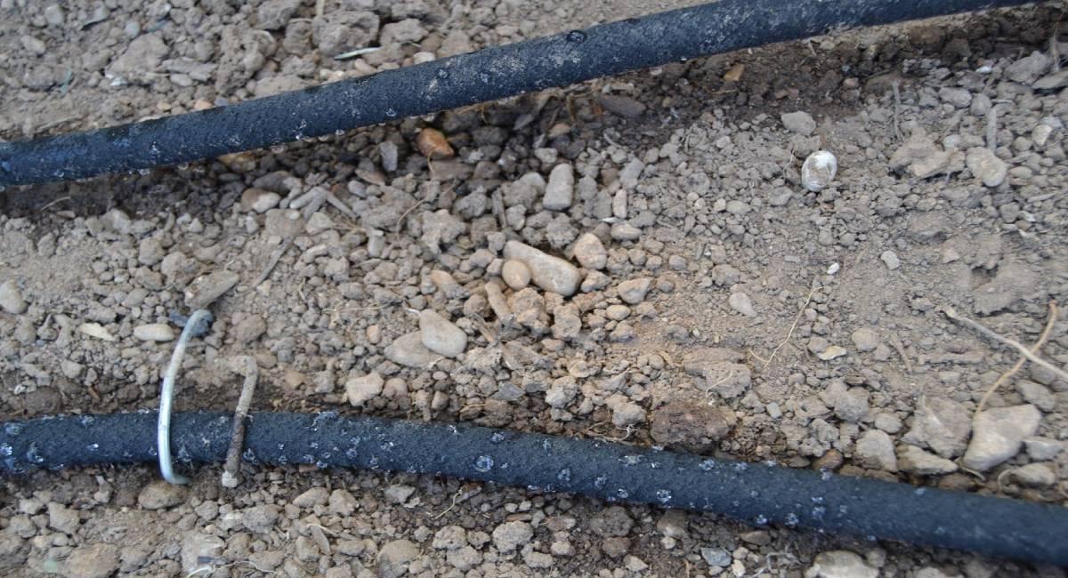 Sistema de riego exudante