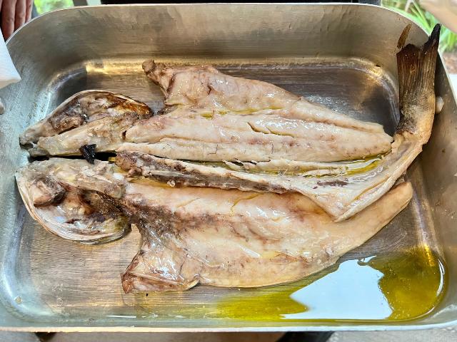 Regreso al presente. Desde 1911