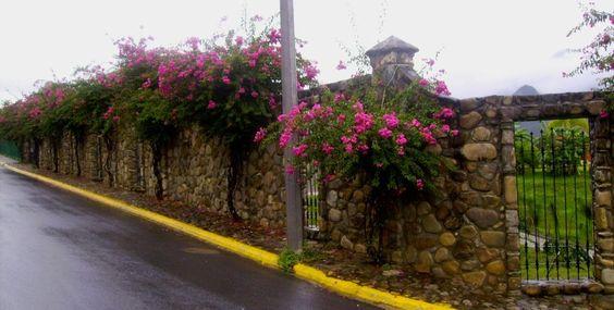 Fachadas de bardas frontales