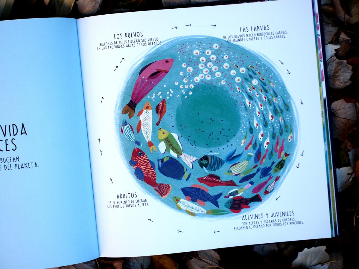 Foto del libro Infinito en la que se ven el ciclo del huevo de los peces