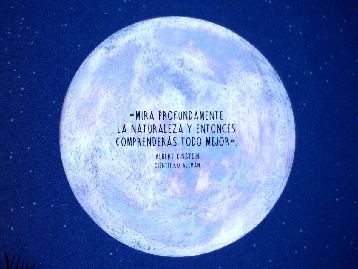 Foto con una luna en la que hay una frase de albert Einsteain