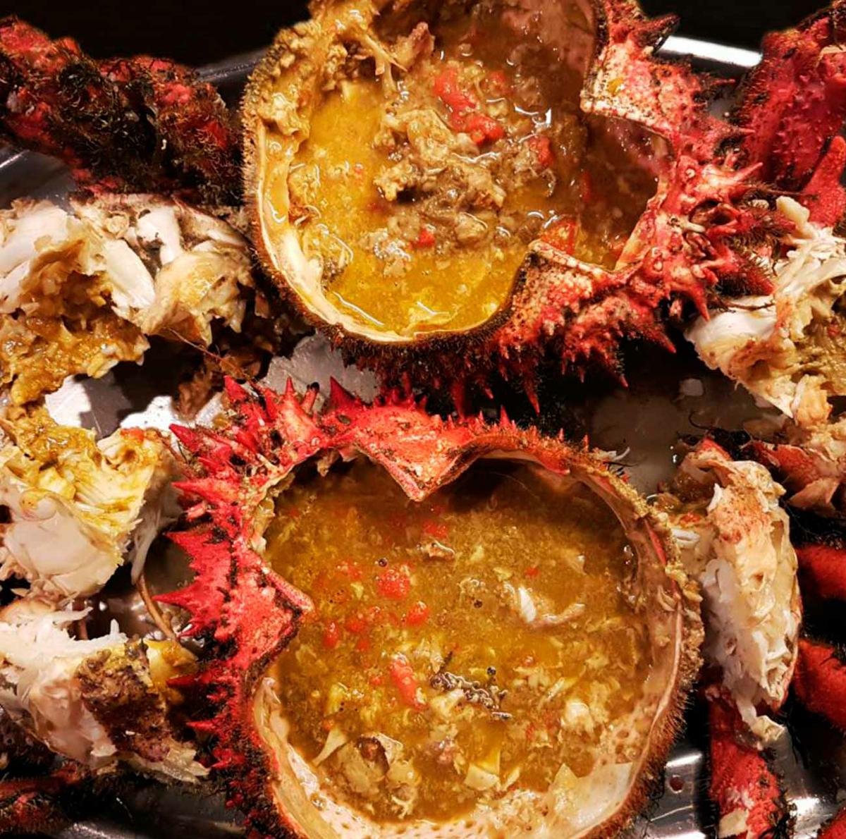 CENTOLLO GALLEGO ( O GROVE) [ TEMPORADA 2021/22 ABIERTA]