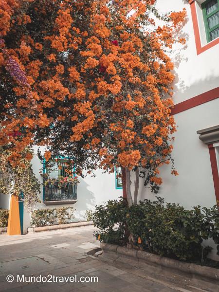 Qué ver en Gran Canaria, Puerto de Mogán