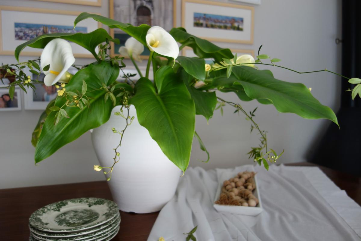 LAS DIEZ MEJORES ENTRADAS DEL BLOG EN 2021.