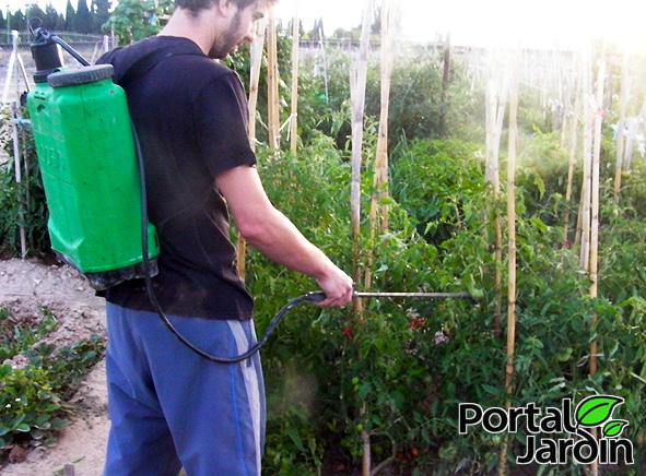 ortiga para nuestro jardín y huerto