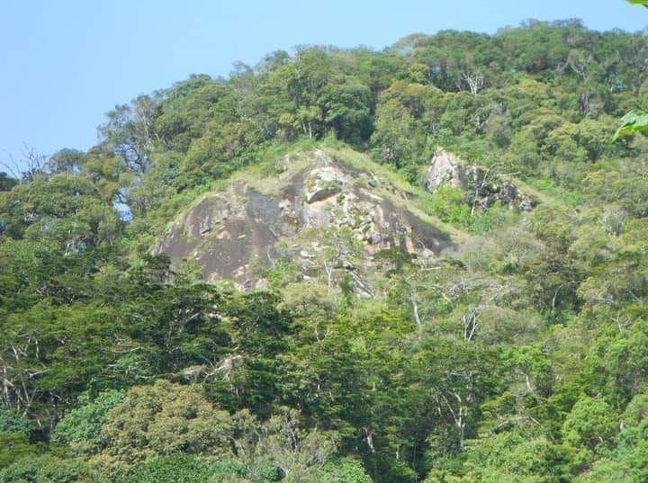 Hectáreas reforestadas por Tree Nation en Tanzania