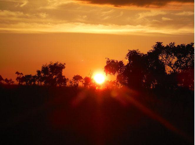 Atardecer en un bosque de Colombia