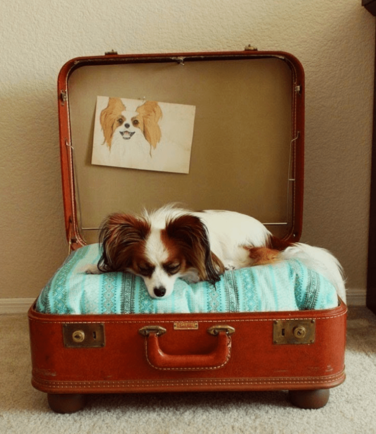 Ideas para decorar la casa con maletas