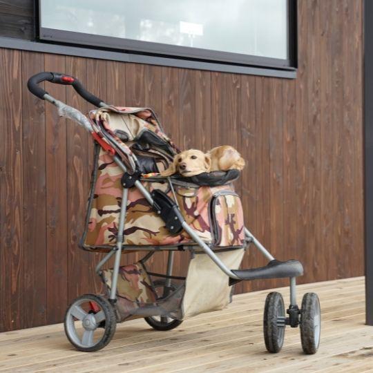 carritos para perros