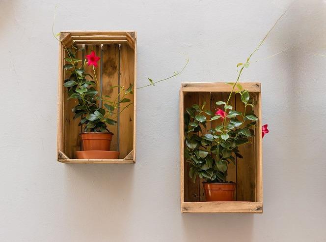 Si eres un manitas como yo y te apasiona trabajar la madera, en esta publicación hablaremos de las herramientas básicas que todo buen carpintero debería tener