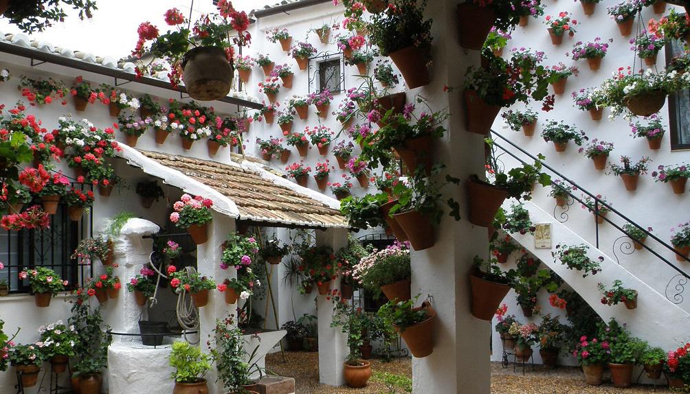 Que-ver-en-Cordoba-Patio-cordobes