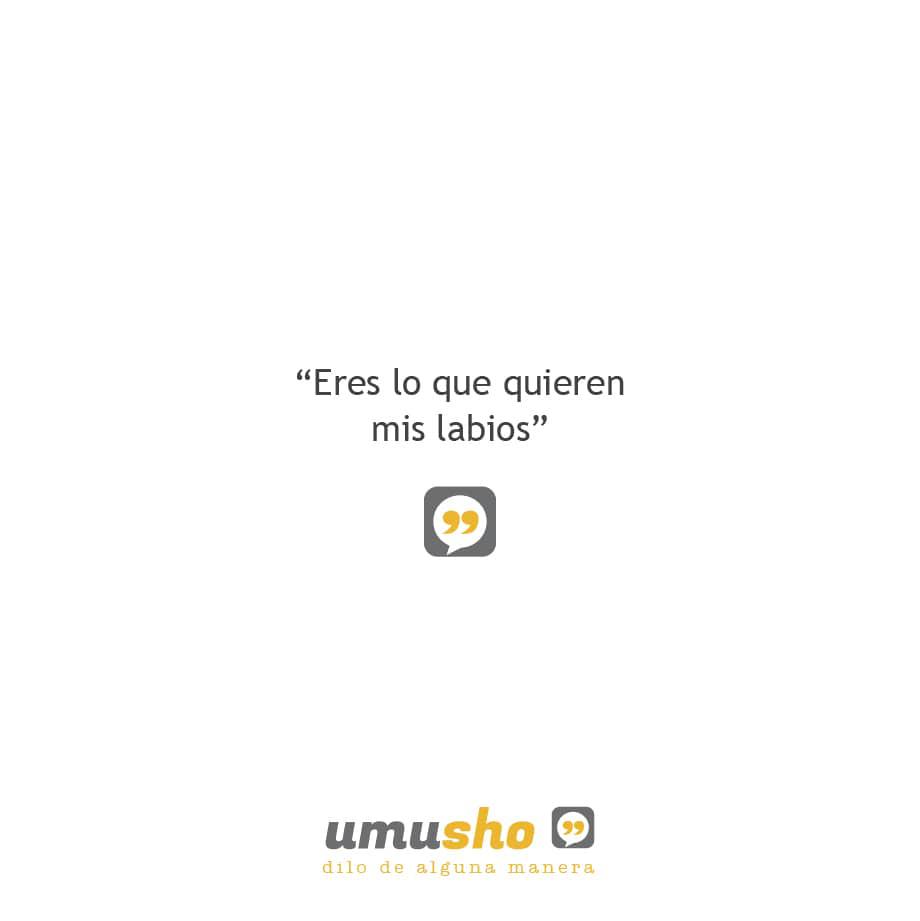 Frases chistosas cortas