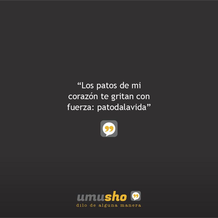 Los patos de mi corazón te gritan con fuerza: patodalavida.