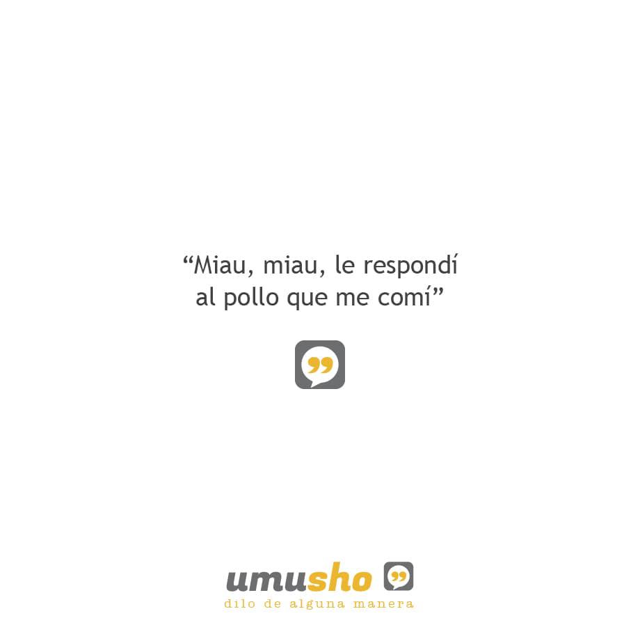 Frases chistosas cortas