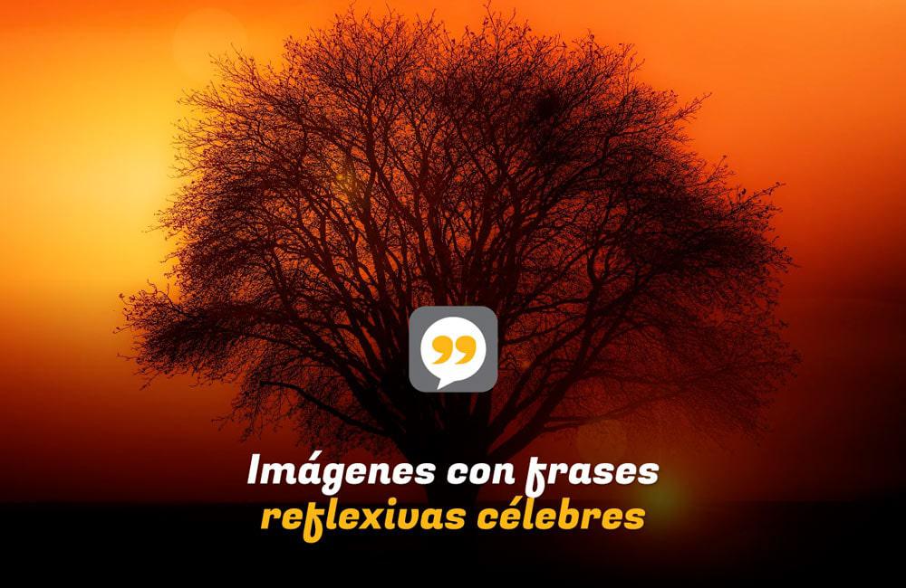 Imágenes con frases reflexivas célebres