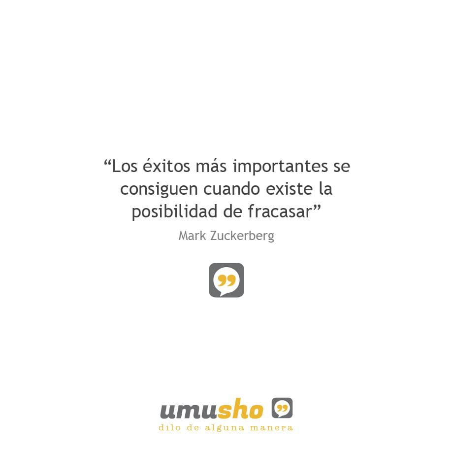 Los éxitos más importantes se consiguen cuando existe la posibilidad de fracasar. Mark Zuckerberg