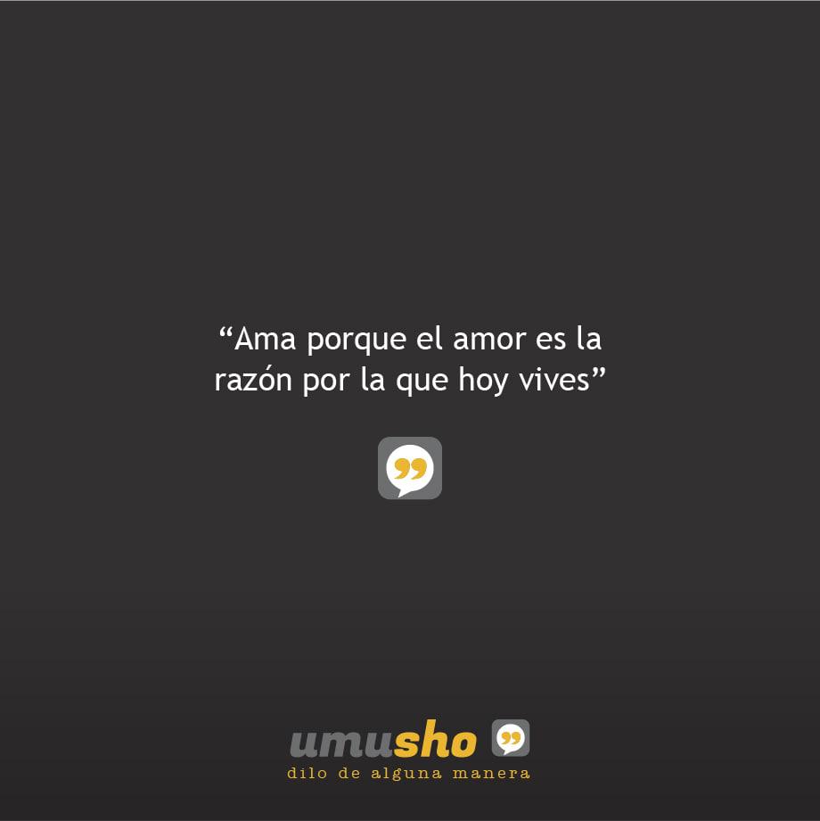 Ama porque el amor es la razón por la que hoy vives.