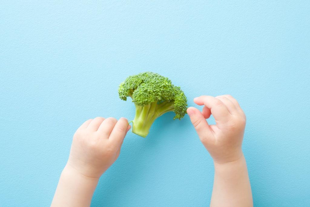 Cuándo se puede dar brócoli a un bebé