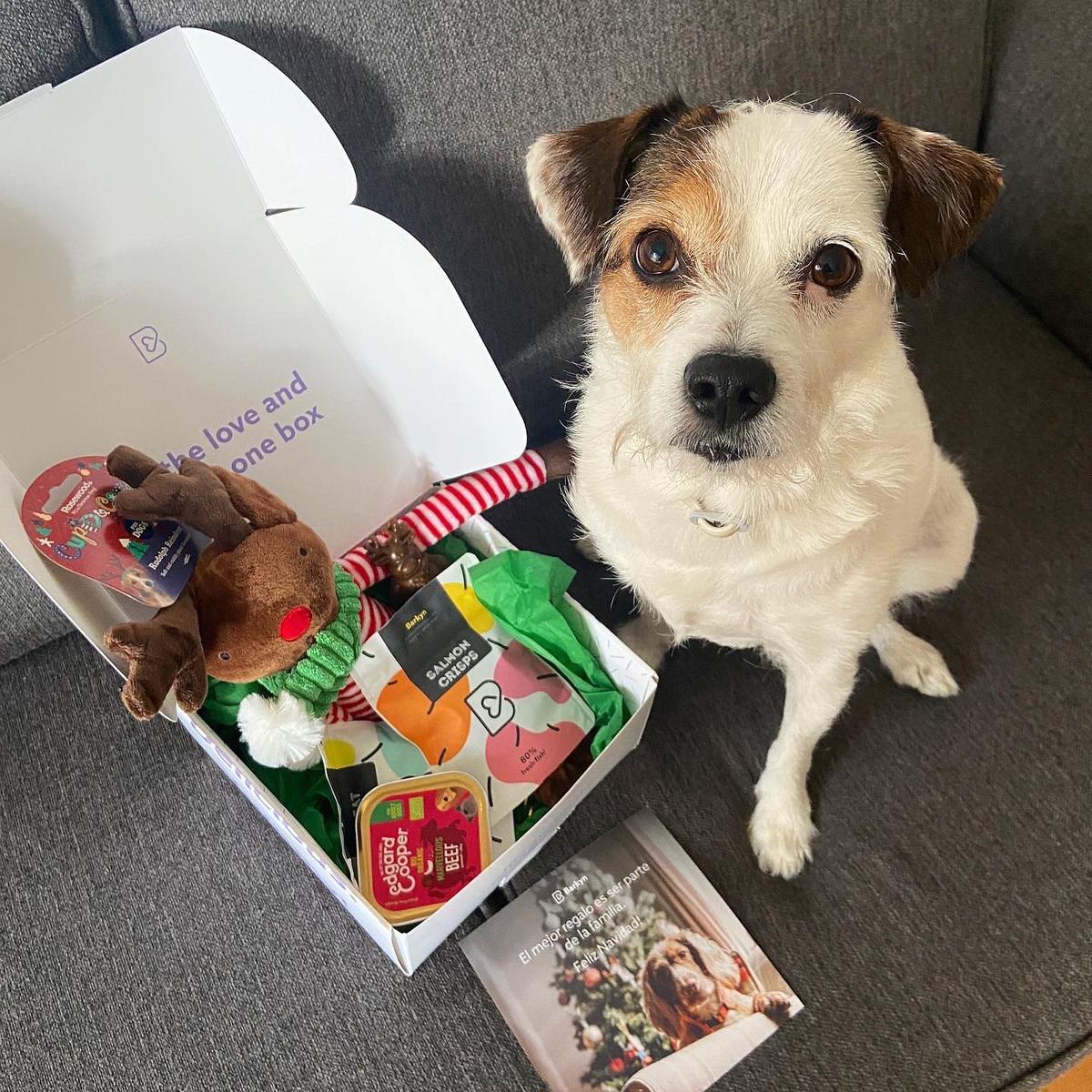 pienso Barkyn opiniones