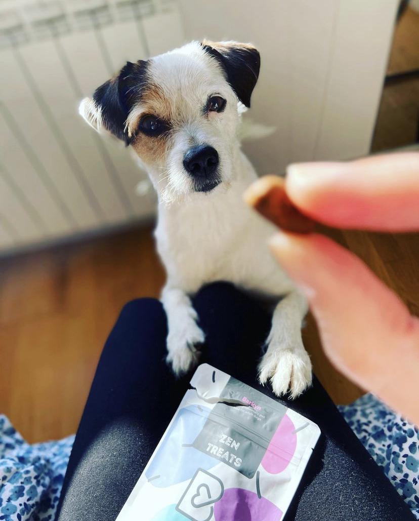 cupón descuento Barkyn