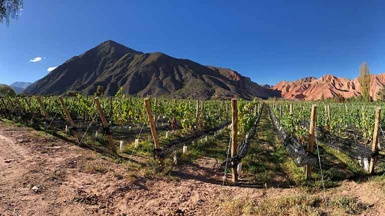 Jujuy | Wines of Argentina