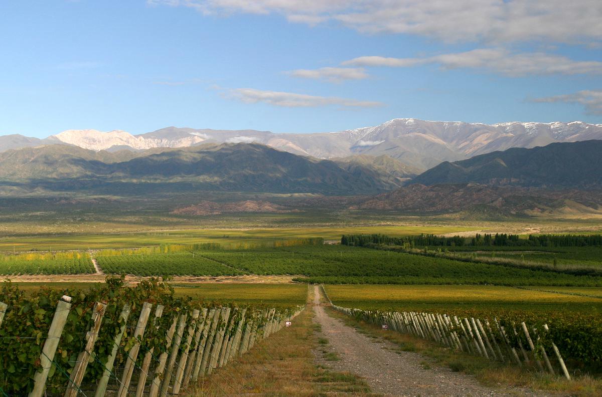 Pedernal en boca de la crítica internacional |