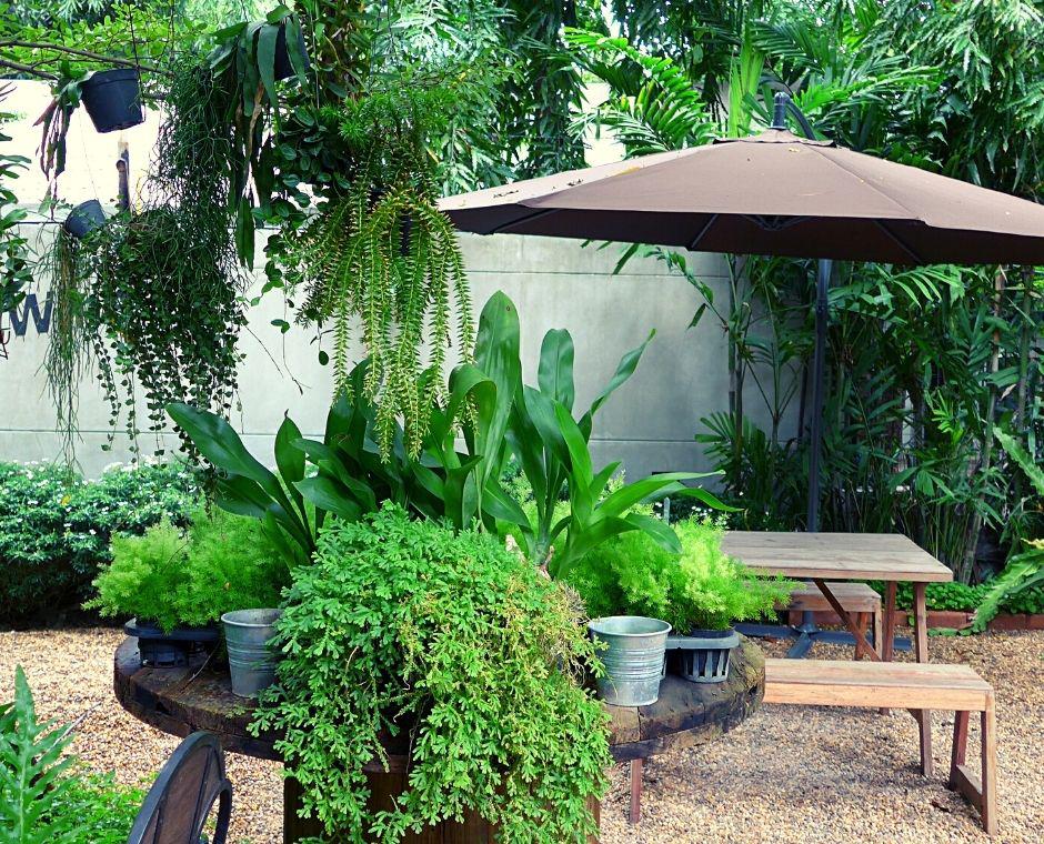 Cómo crear un jardín bonito y pequeño en 10 sencillos pasos.