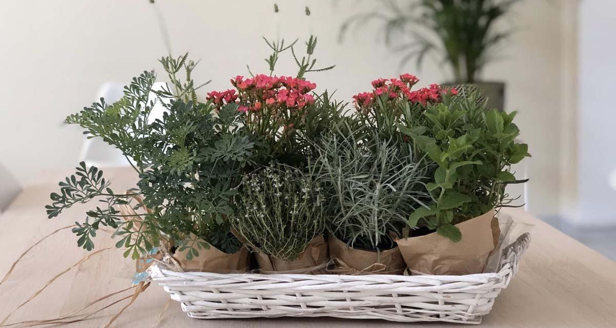 Centros de mesa rusticos