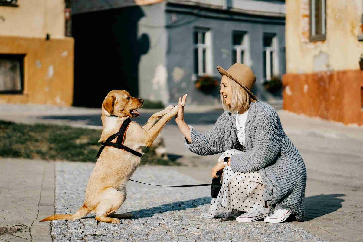 perro feliz con su dueña
