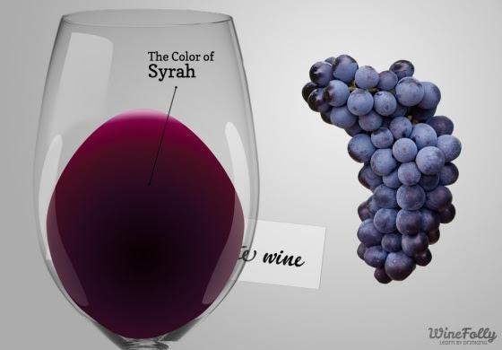 Infografía para conocer la Syrah – Blackwines