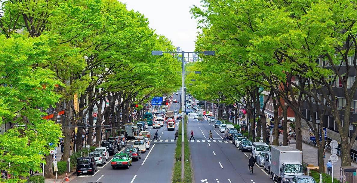 Ciudades más frescas simplemente plantando árboles 1
