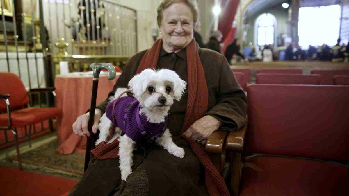 Día de San Antón, patrón de los animales. Contado por Neska, “La Perrita Sabia”