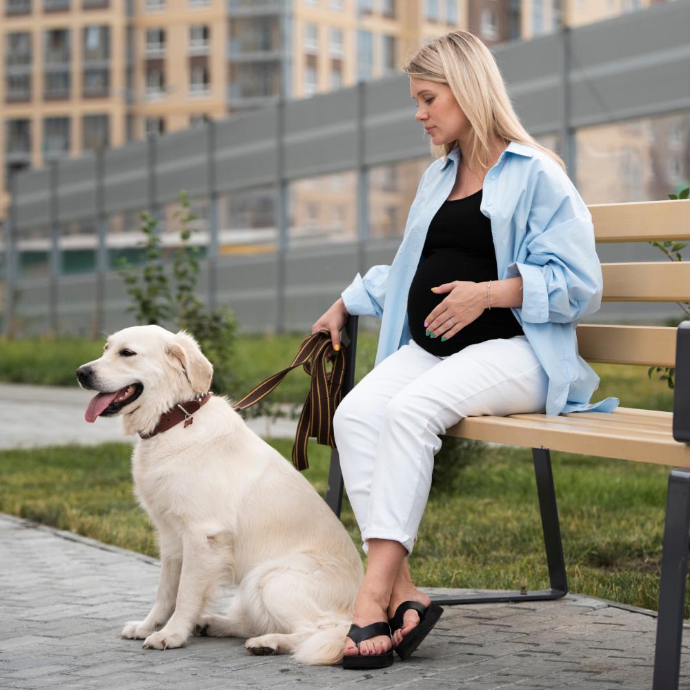 Mujer embarazada sentada en un banco con su Golden Retriever