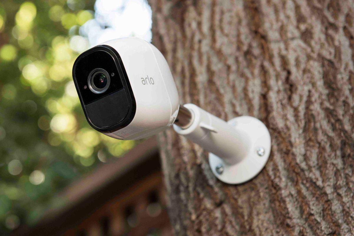 camara seguridad arbol