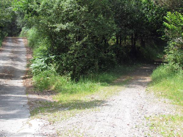 Por la derecha vamos (y volveremos por la izquierda)