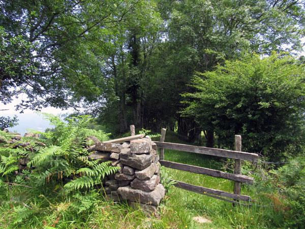 Ya casi hacemos cima y sin ningún esfuerzo